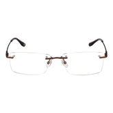 BMW Brown Titanium Glasses (Frames)